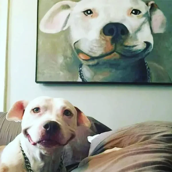 31150051_142120243312770_1779935666956664832_n